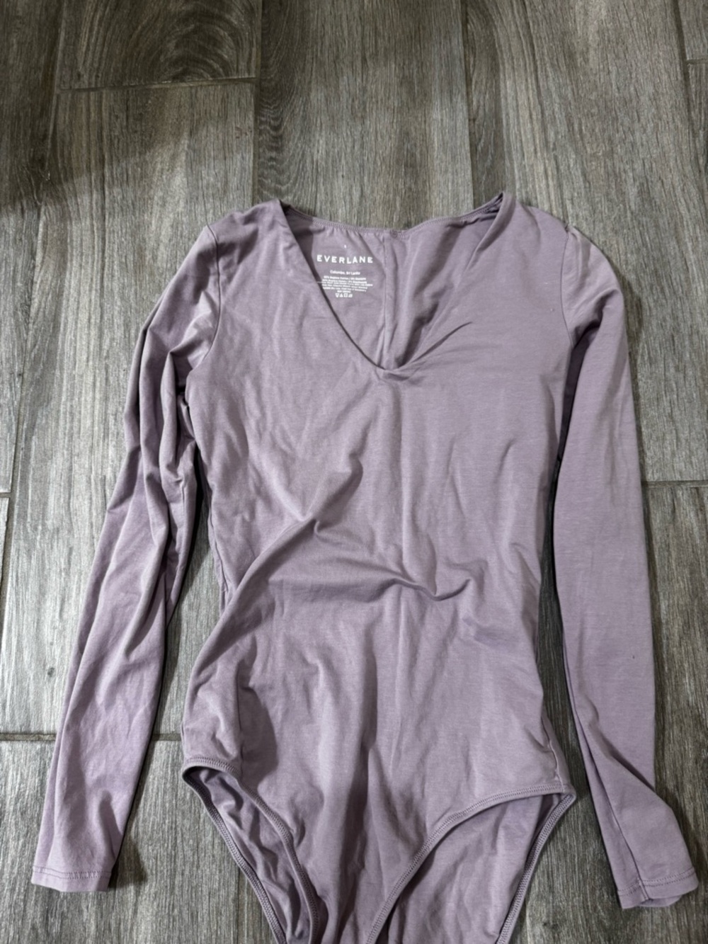 Everlane Women’s Long Sleeve V-Neck Bodysuit in Dusty Mauve